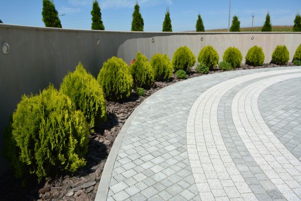 Cost of Paver Installation in Plano