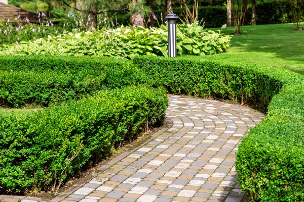Cost of Paved Landscaping in Plano