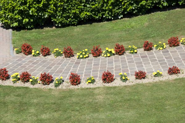 Cost of Garden Paving in Plano