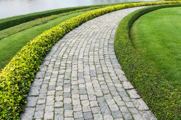 Cost of Sidewalk Pavers Installation in Plano